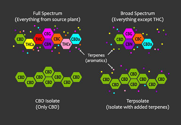 What S The Difference Between Full Spectrum Broad Spectrum Isolate