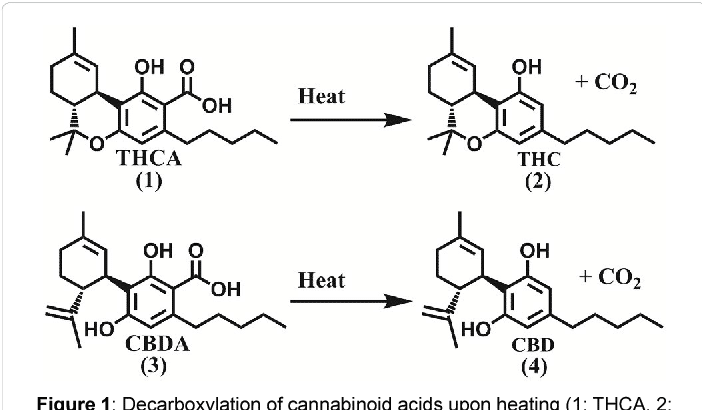 Cannabinoid Decarboxylation
