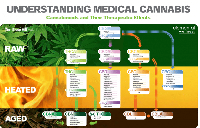 Cannabinoid Conversion Chart