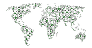 CBD Oil Brands That Ship Internationally to UK, Australia, Europe, Asia, South America, Africa and many more countries