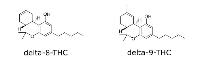 Delta 8 vs Delta 9 THC Molecular Structure
